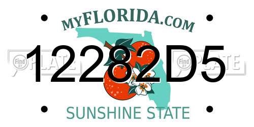 12282D5 Florida License Plate