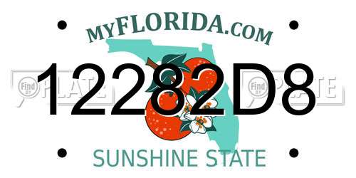 12282D8 Florida License Plate