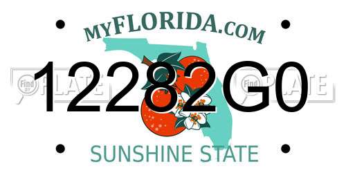 12282G0 Florida License Plate