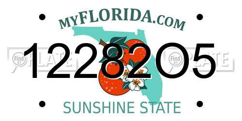 12282O5 Florida License Plate