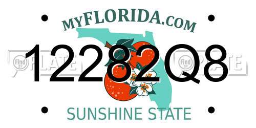 12282Q8 Florida License Plate