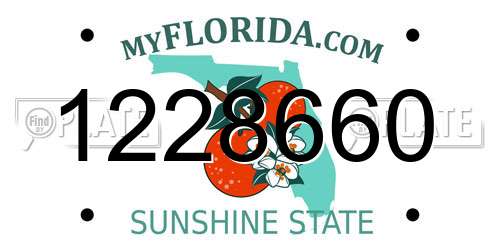 1228660 Florida License Plate