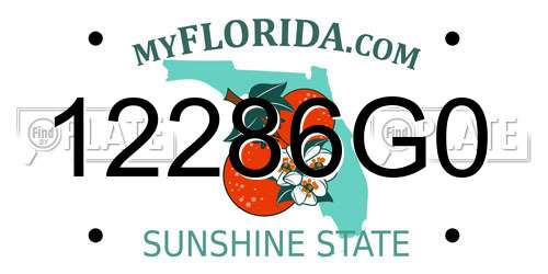 12286G0 Florida License Plate