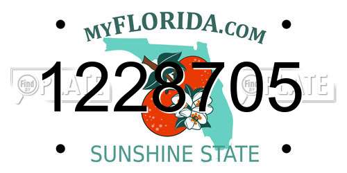 1228705 Florida License Plate