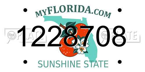 1228708 Florida License Plate