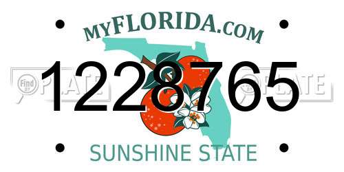1228765 Florida License Plate