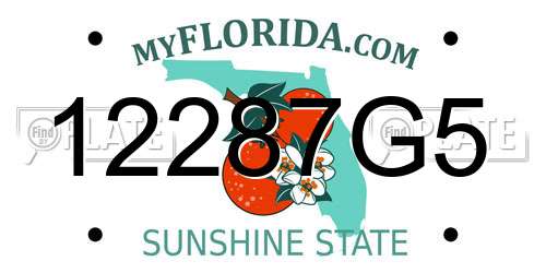 12287G5 Florida License Plate