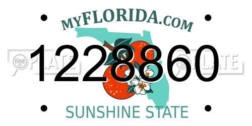 1228860 Florida License Plate