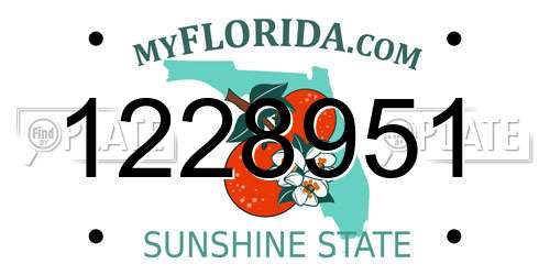 1228951 Florida License Plate