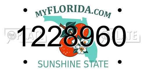 1228960 Florida License Plate