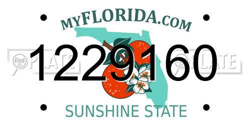 1229160 Florida License Plate