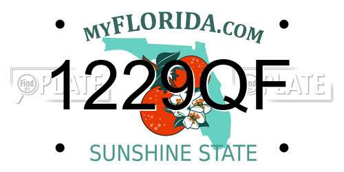 1229QF Florida License Plate