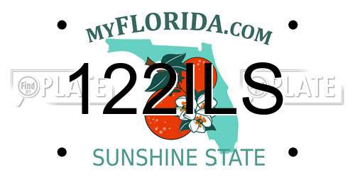 122ILS Florida License Plate