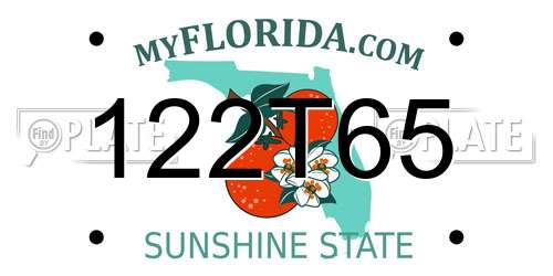 122T65 Florida License Plate