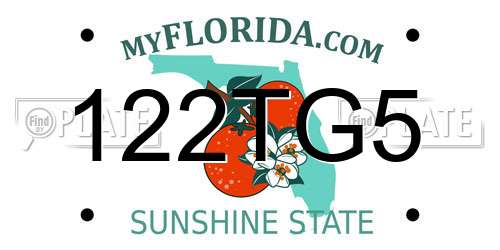 122TG5 Florida License Plate