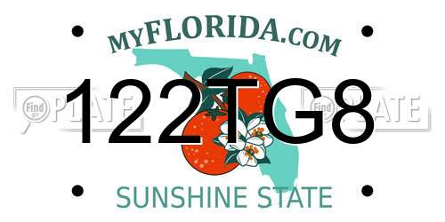 122TG8 Florida License Plate