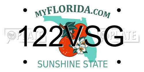 122VSG Florida License Plate