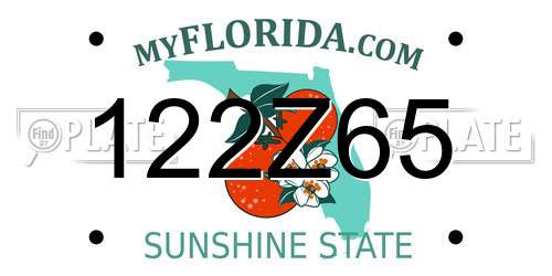 122Z65 Florida License Plate