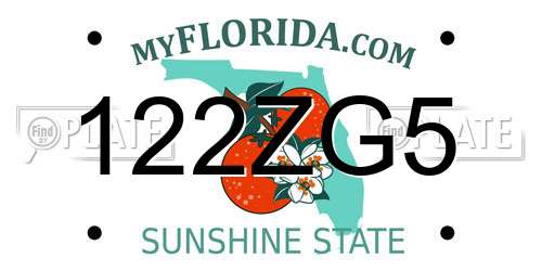 122ZG5 Florida License Plate