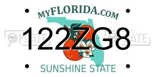 122ZG8 Florida License Plate