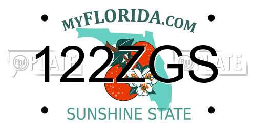 122ZGS Florida License Plate