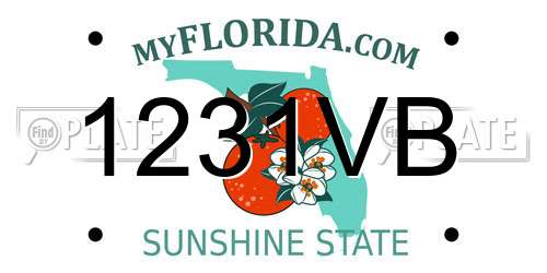 1231VB Florida License Plate