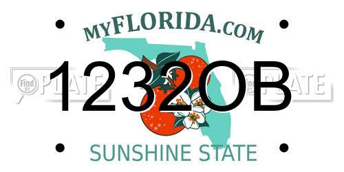 1232OB Florida License Plate