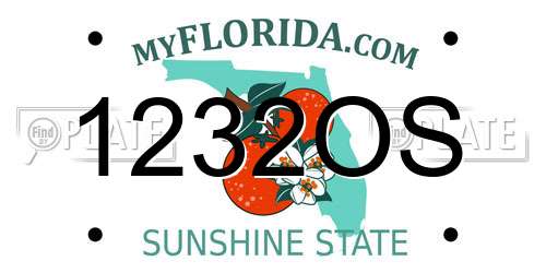 1232OS Florida License Plate