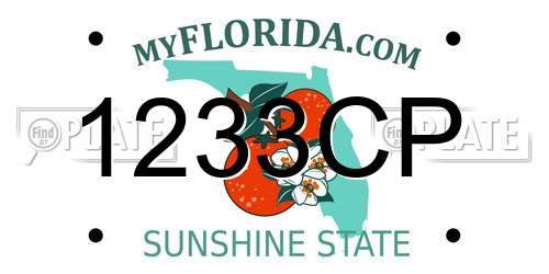 1233CP Florida License Plate