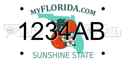 1234AB Florida License Plate