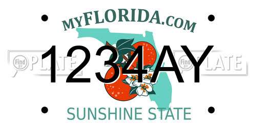 1234AY Florida License Plate