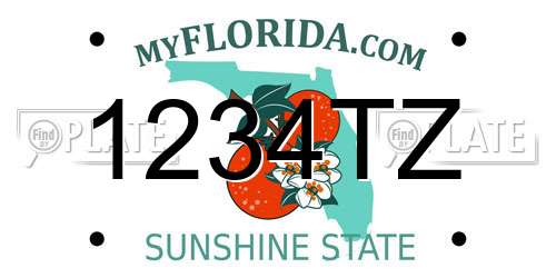 1234TZ Florida License Plate