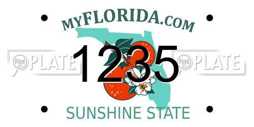 1235 Florida License Plate
