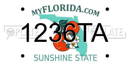1236TA Florida License Plate
