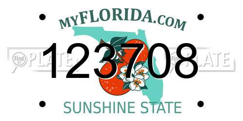 123708 Florida License Plate