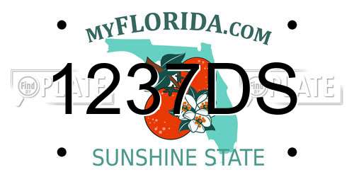 1237DS Florida License Plate