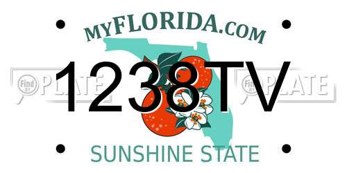 1238TV Florida License Plate