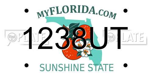 1238UT Florida License Plate