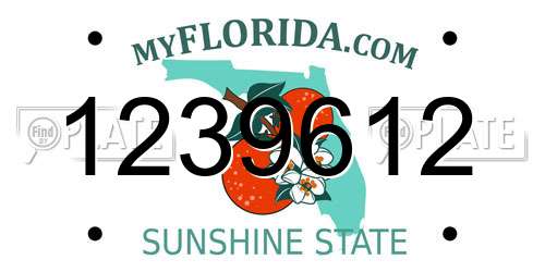 1239612 Florida License Plate
