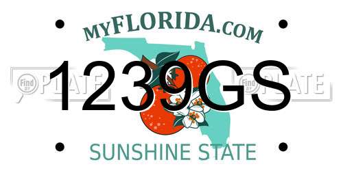 1239GS Florida License Plate