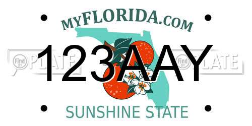 123AAY Florida License Plate