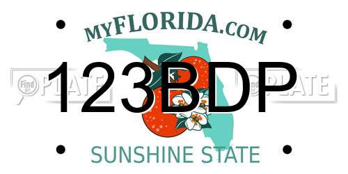 123BDP Florida License Plate