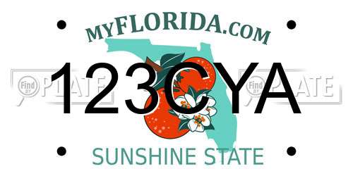 123CYA Florida License Plate