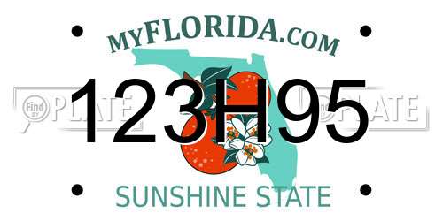 123H95 Florida License Plate