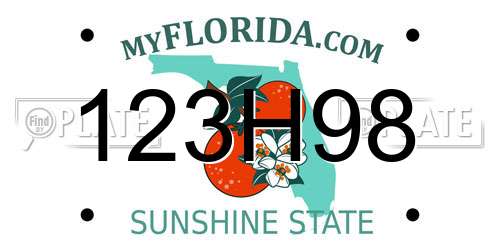 123H98 Florida License Plate