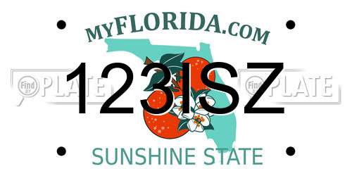 123ISZ Florida License Plate