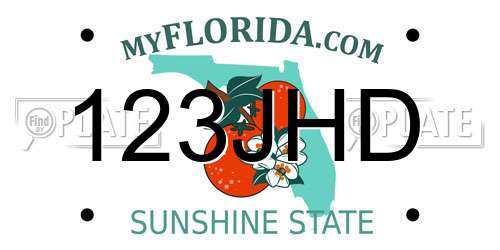 123JHD Florida License Plate
