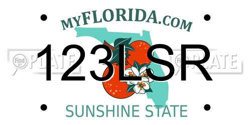 123LSR Florida License Plate
