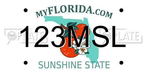 123MSL Florida License Plate