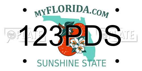 123PDS Florida License Plate
